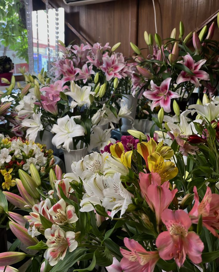 chaarpaai's tweet image. 