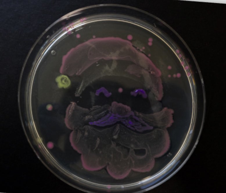 University of Southampton Technicians tweet media