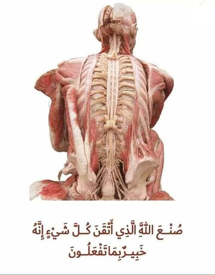 ساحة علم tweet media