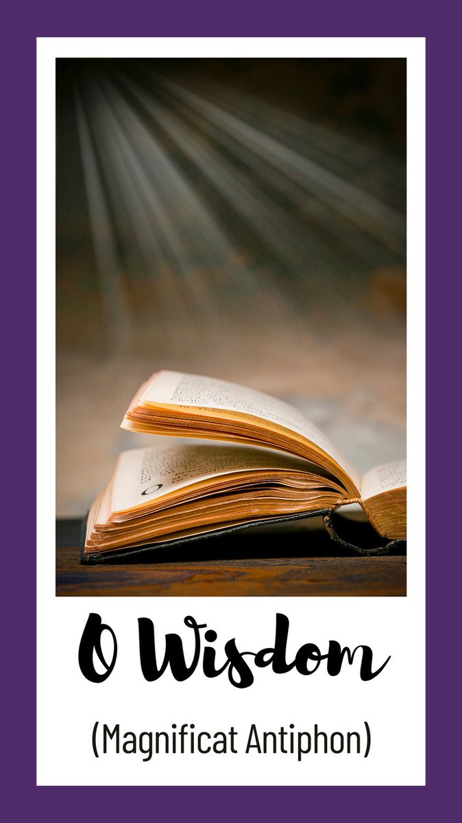 "O Wisdom, you come forth from the mouth of the Most High…O come to teach us the way of truth." - #MagnificatAntiphon. 

📷 Bible with Light / © dlerick via #GettyImages and #CanvaPro. #Catholic_Priest #CatholicPriestMedia #TheChristmasNovena