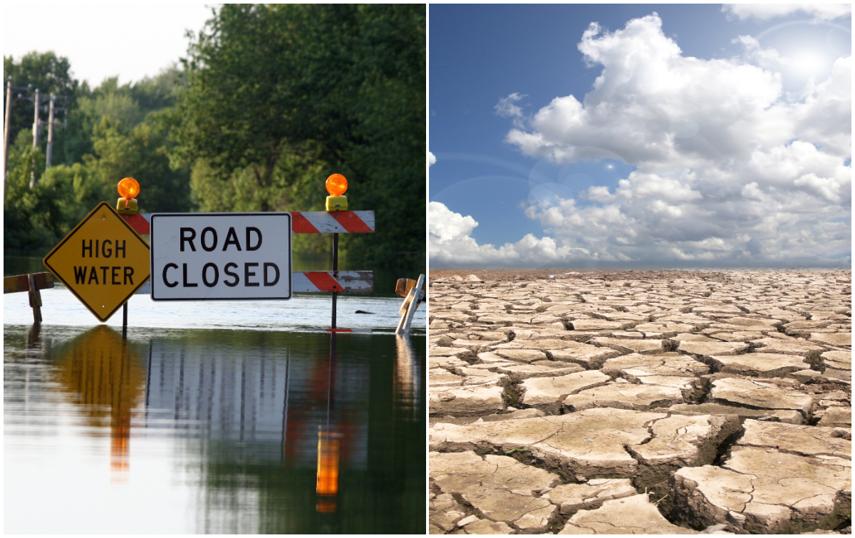 Californians for Water Security tweet media
