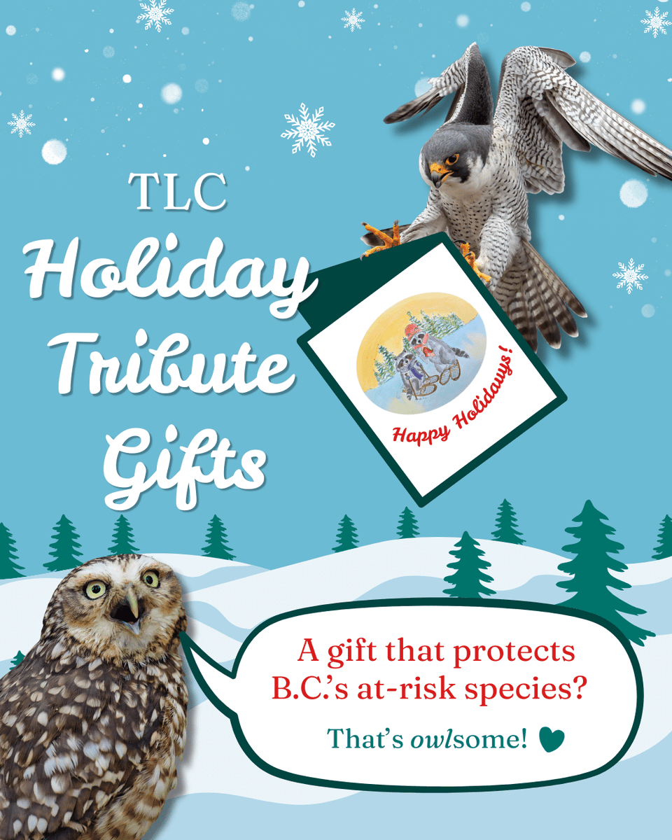 The Land Conservancy tweet media