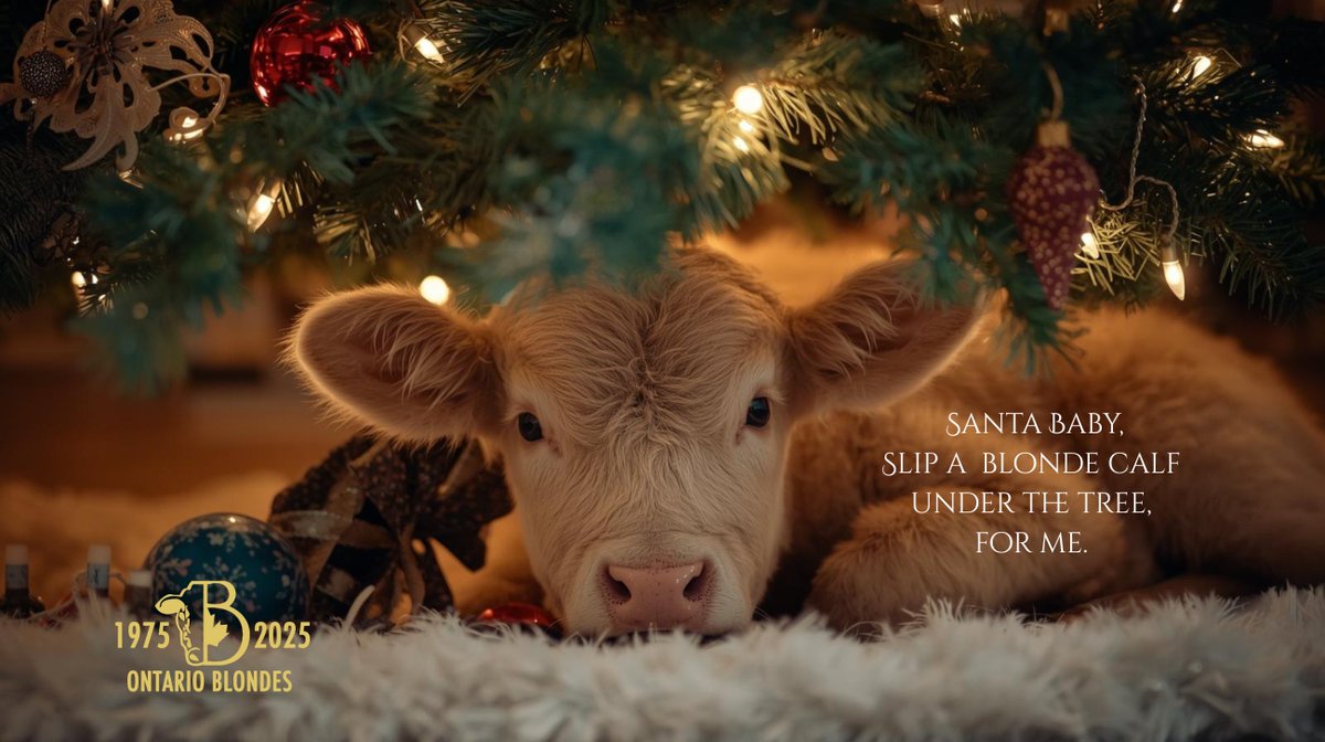 OntBlondeAssn's tweet photo. https://t.co/MpB7Gwyr2R