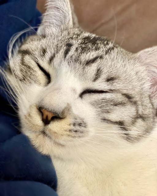 �\�[�V�����}�K�W���w�R�X���f�B�A�h�b�g�R��!!�x:�ŐV���𐏎��X�V��!!