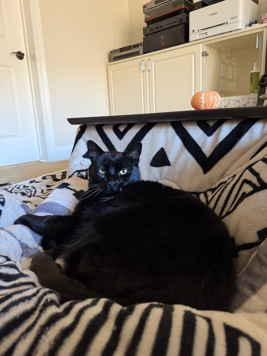 Yumiko Mページ アレックス・クラッシュド・ベルベット – Yumiko Japan