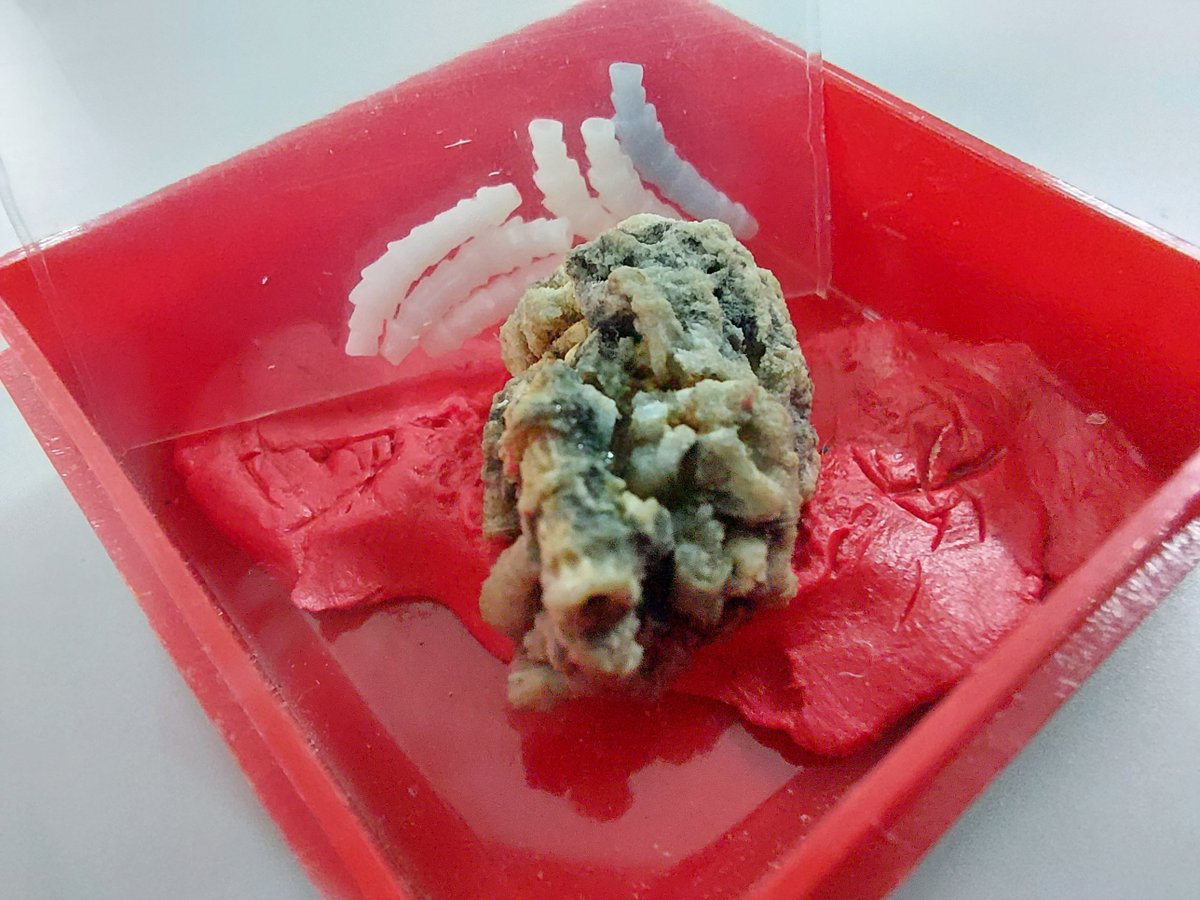 Rubén del Pozo Fernández tweet media