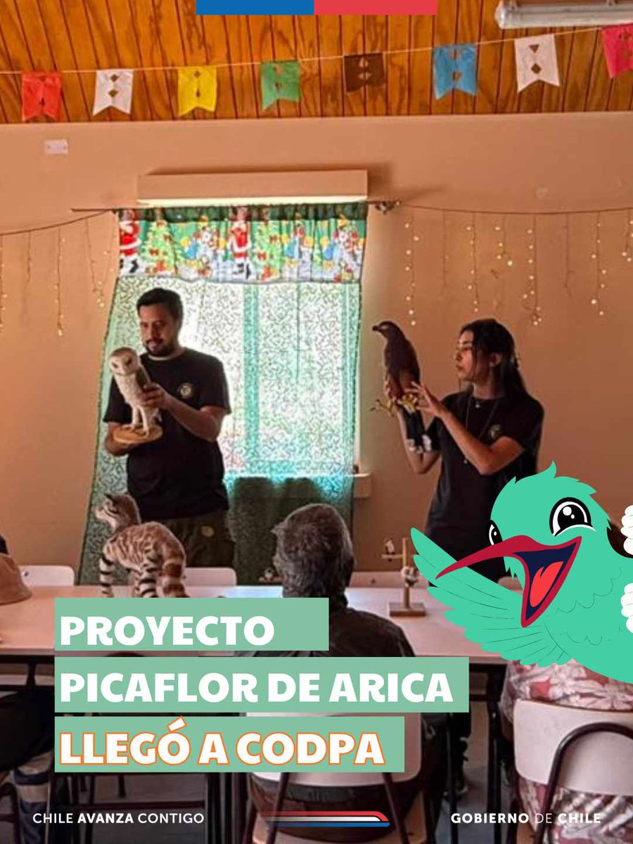 CONAF Arica y Parinacota tweet media