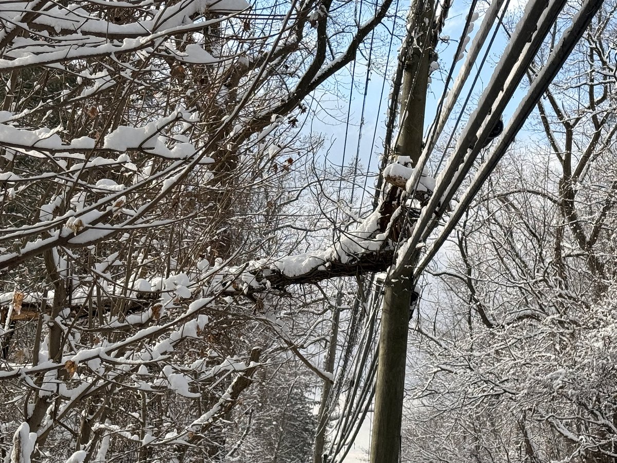 NickLoeb tweet media