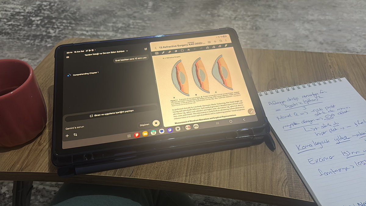 Yaşıtlarım çocuklarına ödev yaptırırken