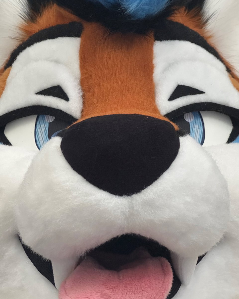 Ari 🦊 🔜 ANE (@FoxNamedAri) / Posts / X