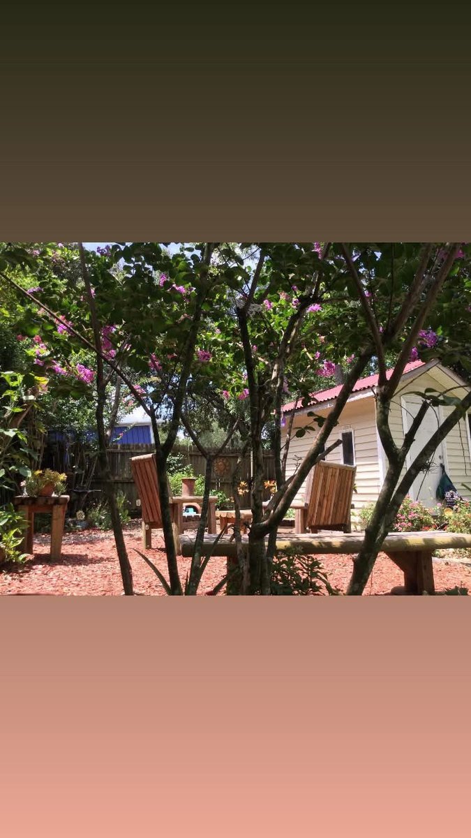 Samantha Exford tweet media