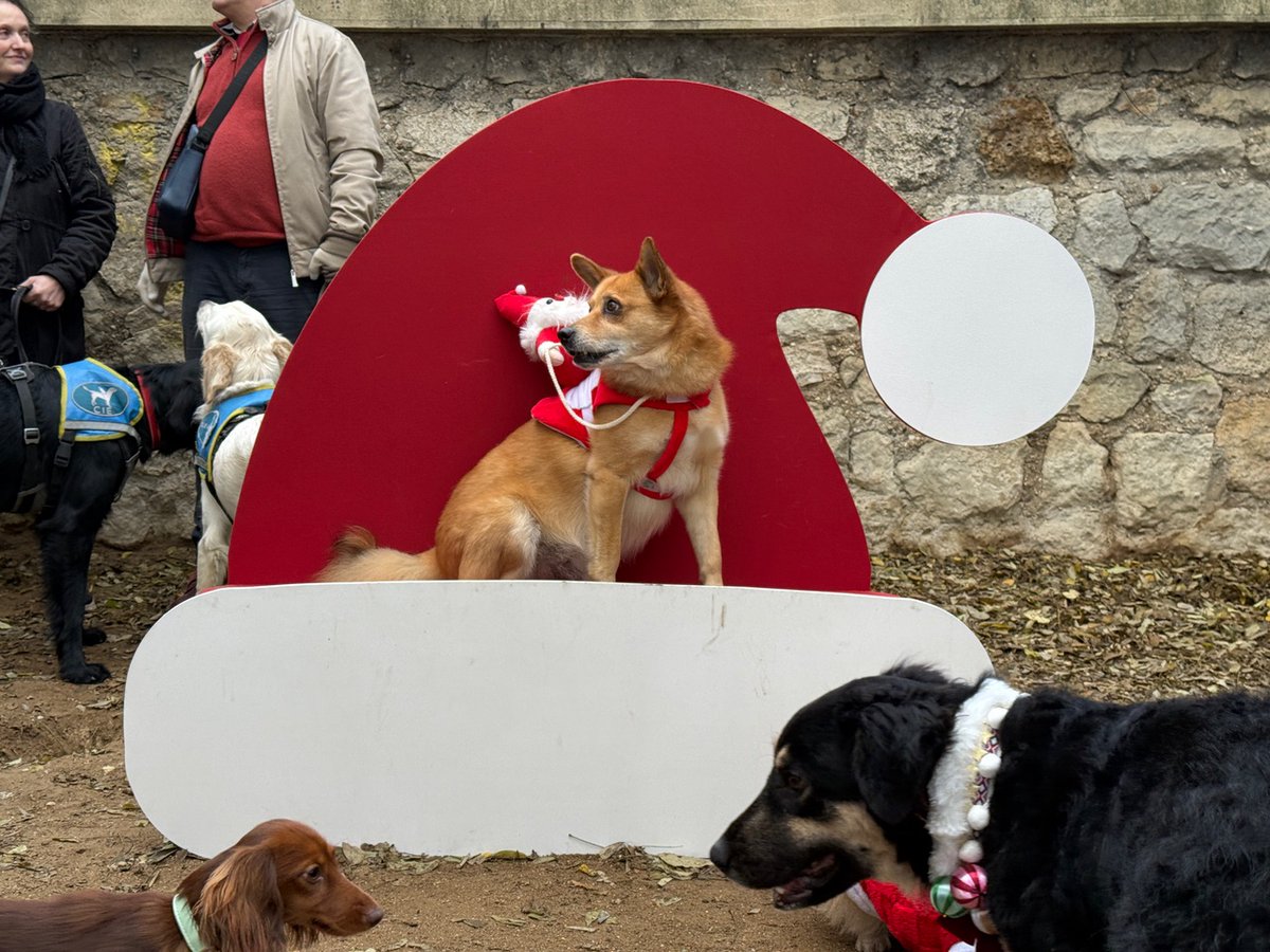 4ème édition de la Fête de Noël des Poilus 🎅🏼 - mailchi.mp/6c60ce97139f/l…