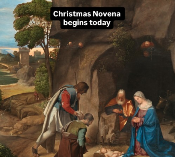 Don't forget! Today the Christmas novena starts TODAY!!
#christmascountdown #novena #catholic #liturgicalliving #advent