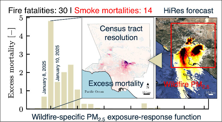 Fx Lab at Stanford tweet media