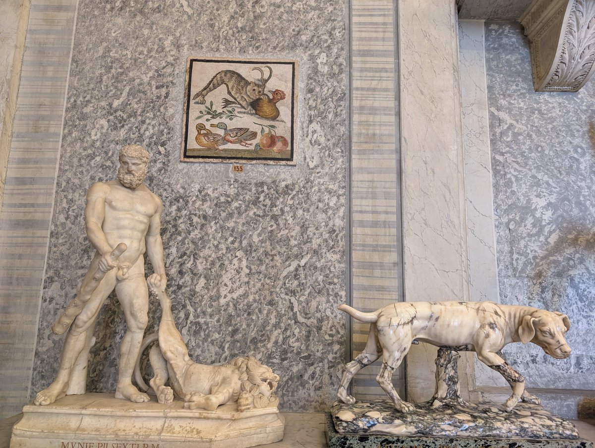 バチカン市国🇻🇦📍バチカン美術館 Sala di animali 動物の置物が展示