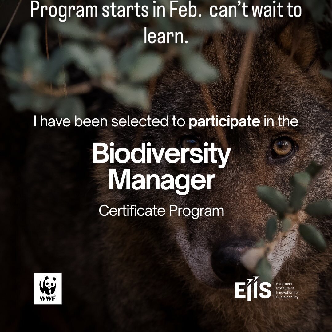 efdImages's tweet image. instagr.am/p/DSVmPHPCdtG/