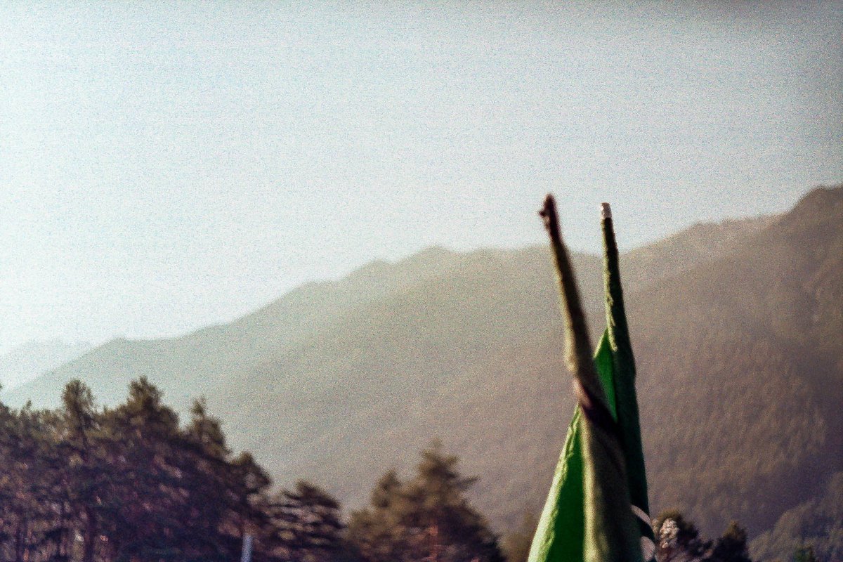 Anna Konovalova tweet media