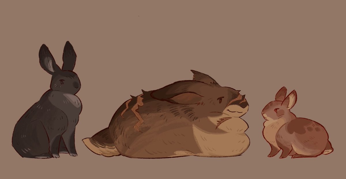 ✦ shiloh 🐇🕊️ tweet media