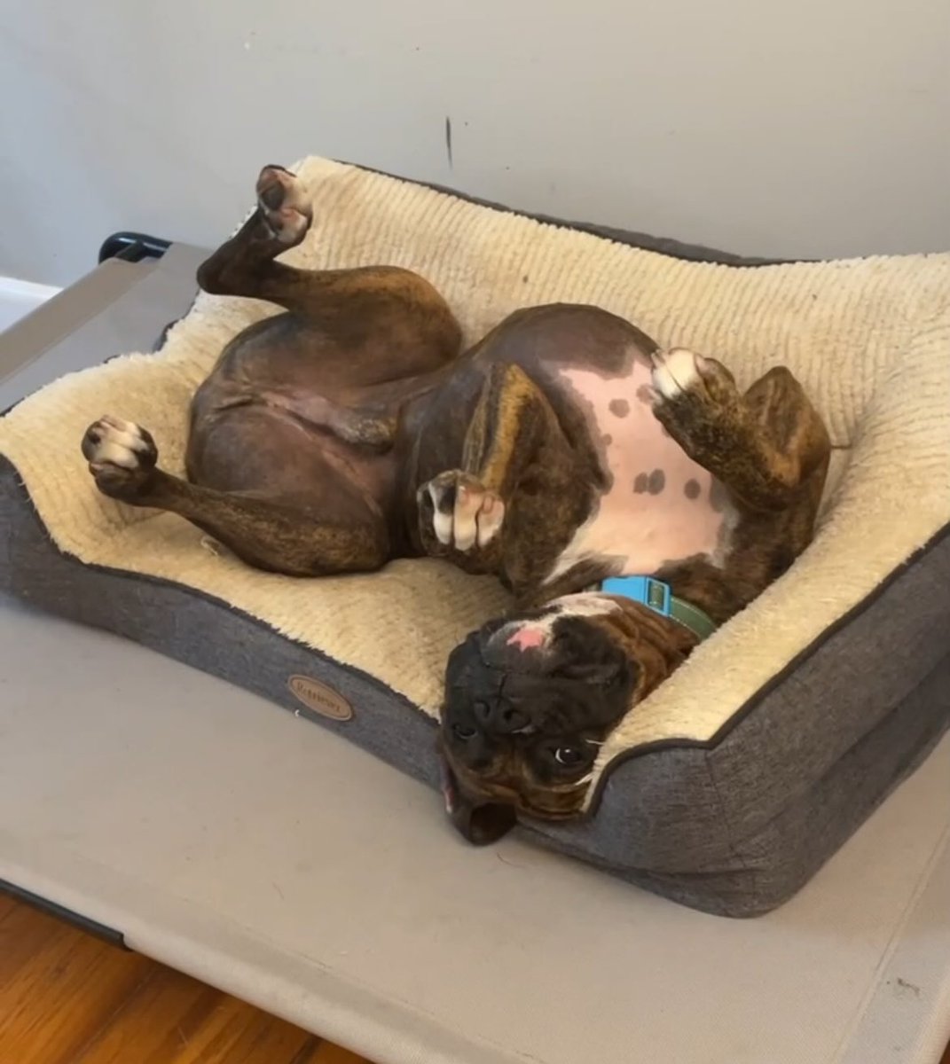 Chris Smith tweet media