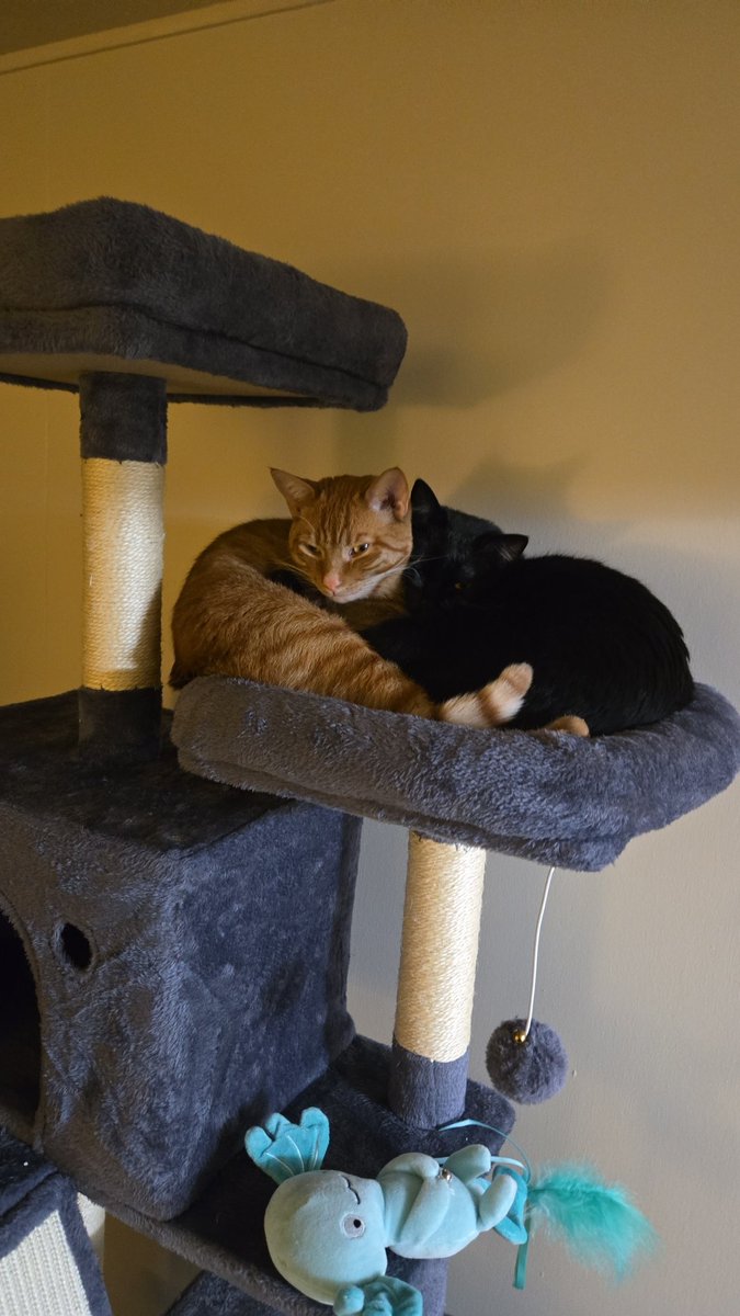 Jasper Fairbanks tweet media