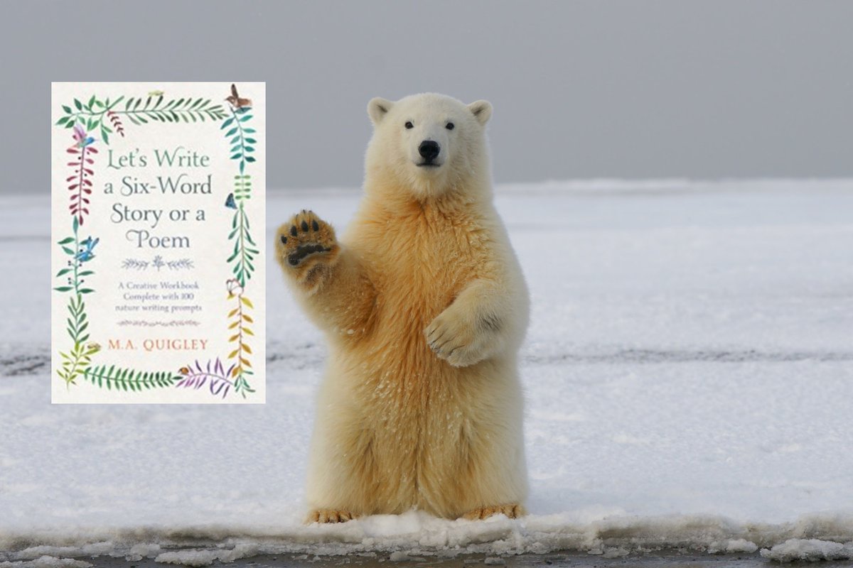 <a href="/booksbyJeanneR/">Jeanne Roland</a> <a href="/AikinNorb/">Norb Aikin</a> <a href="/jas_phoenix333/">Jas Phoenix</a> <a href="/LaylaHawke2/">Layla Hawke, author</a> <a href="/tristanbtaylor/">Tristan B Taylor</a> <a href="/Kellyrei007/">Kelly Miller, Amazon Best-Selling Author 💜🐶🐎</a> <a href="/impoliticpolit/">Hope Fields, JD.</a> <a href="/jordana_greene/">Jordana Greene 🌸 Writing 🐺🐾🐿️🐻🦊</a> <a href="/KalFulsom/">Kal Fulsom</a> <a href="/SkyWatcher_HL/">🇨🇦Heather Lynn💫 The Sky Watcher Series✍🏻💫</a> <a href="/M_Cobbett71/">M.G. Cobbett (Writer/Reader/Reviewer) - see cover</a> <a href="/ShenaeChase/">Shenae Chase Author - The Love Mentalist</a> <a href="/LMFord2/">LM Ford-Author</a> <a href="/STrueshan/">Sam Trueshan</a> <a href="/SempaiGreg/">Gregory Alexander Sharp Author</a> <a href="/jzpitts/">J. Z. Pitts</a> <a href="/The_Em_Vega/">Em Vega 🌜🚀⭐️</a> <a href="/SilverJames_/">Silver James</a> <a href="/SWilkingHoran/">Susan Wilking Horan</a> <a href="/ANelsonLMPotter/">A. Nelson & L.M. Potter, award-winning authors</a> <a href="/JessSFrankel/">Jesse Seth Frankel--YA Fantasy/Adventure Author</a> <a href="/AuthorPiro/">Jessica Piro</a> <a href="/L_Montes223/">L. M. Montes | The Cross's Key</a> <a href="/WilChanWrites/">Wil Chan</a> <a href="/Gerlach12207435/">Brigitte Gerlach🌊💙😿😪💚#ClimateActionNow</a> <a href="/ITSPOSSIBLE_Rod/">YouCan2</a> <a href="/jamilynewriter/">Jami Lyne ~author & poet 🕊️</a> <a href="/Janine_Galliano/">J Galliano</a> <a href="/JayeTroop/">Jaye Troop (pen name) 🇬🇧</a> <a href="/tristan_dineen/">Tristan Dineen</a> <a href="/Emme_Klama/">Emme</a> <a href="/EatonKrone/">Eaton Krone 👽 Sci-Fi Satire Author 🚫 DMs</a> <a href="/carolyngrace505/">CAROLYN HAYNES—“BEWITCHED” First Class #LATimes</a> <a href="/jgmacleodauthor/">J.G. MacLeod</a> <a href="/d_j_runnels/">D. J. Runnels - author</a> <a href="/EveKoguce/">Eve Koguce</a> <a href="/GhostThe50178/">Ghost of Thaddeus Arjuna, a Scribe with tidy typos</a> <a href="/ta_welton/">Tammy Welton</a> <a href="/AuthorScifi/">VampireScifiAuthor a.k.a. Taggart Rehnn</a> <a href="/Susanjeanricci/">Susan Jean Ricci</a> <a href="/nikki_twisted/">NikkiTwisted - NT Anderson</a> <a href="/DaisyWo62695811/">Daisy Wood - Author Historical Fiction</a> <a href="/kady54033/">K.D. McNiven</a> <a href="/BeatriceLacy/">Beatrice Lacy</a> <a href="/Quinnqueens/">Quinn 💛(G.Quinn Rogers)</a> <a href="/kampungkreepy/">Yin Leong</a> <a href="/TudorTweep/">Gemma Lawrence</a> <a href="/EKkoulla/">E. M. Kkoulla</a> Thanks, Jeanne.❤️
'This isn’t a book that lectures you; it just quietly encourages you to try, to write, and to see what happens. Whether you’re into poetry or stories, or just looking for an outlet when life feels overwhelming, this book is a great place to start. Favorite