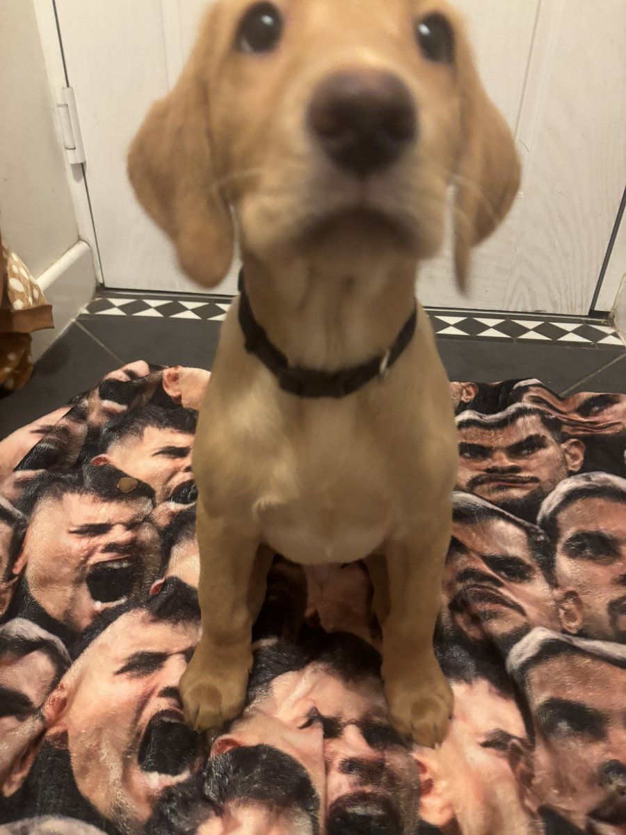 Emma Blemings💙🎓🇺🇦 tweet media