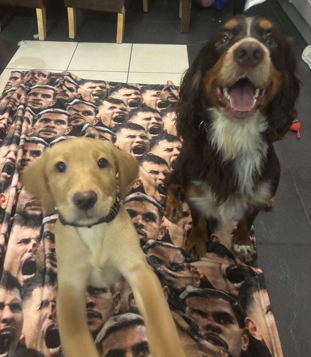 Emma Blemings💙🎓🇺🇦 tweet media