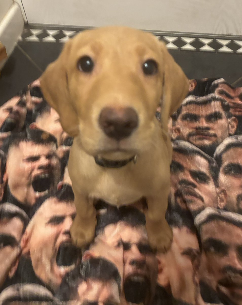 Emma Blemings💙🎓🇺🇦 tweet media