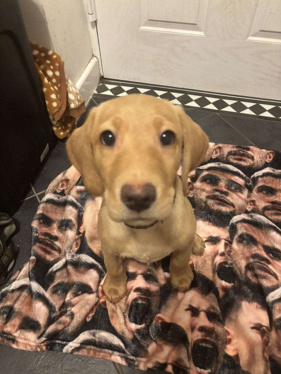 Emma Blemings💙🎓🇺🇦 tweet media