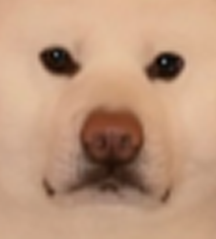 <a href="/coinbase/">Coinbase 🛡️</a> <a href="/brian_armstrong/">Brian Armstrong</a> The face of <a href="/base/">Base</a>