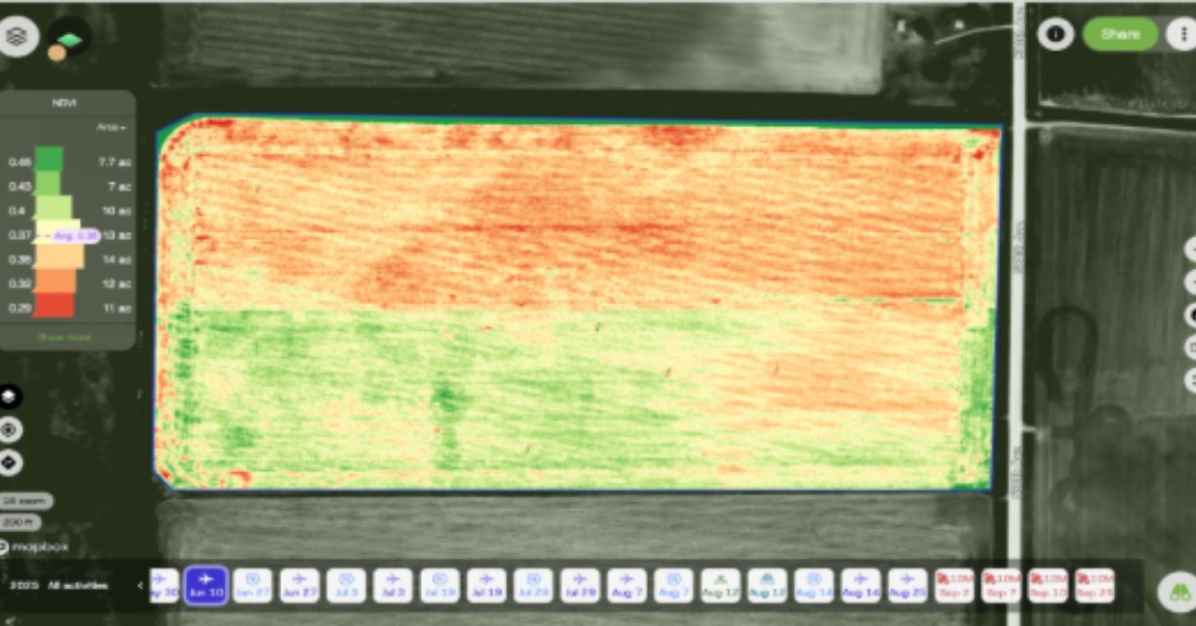 LandusAg's tweet photo. Can you spot the early warning signs in this SkyScout image? 👀

In the June 10 NDVI map (first image), notice the low-NDVI (red) areas along the north half of the field. What do you think is causing this pattern?

Why is it showing up only on one side of the field? What field activity during this time frame could have contributed to it?

Swipe ➡️ to reveal what happened.
👉View the full PDF to read what the outcome was: https://t.co/LCDrVyFTrF

#Landus #SkyScout #CropScouting #FarmTech