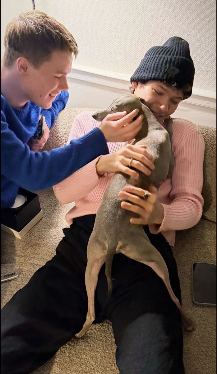 thaïs owns sabotage tweet media