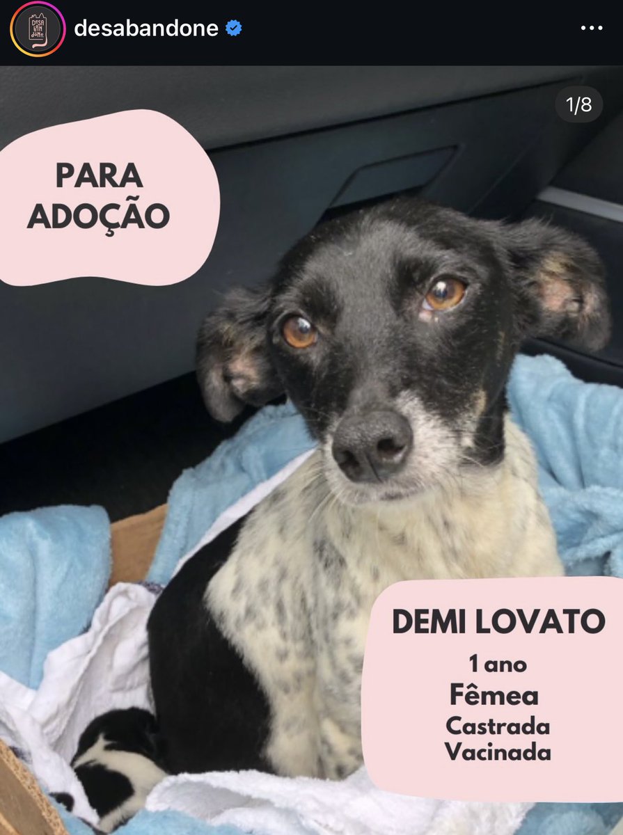 igormend3x's tweet image. 