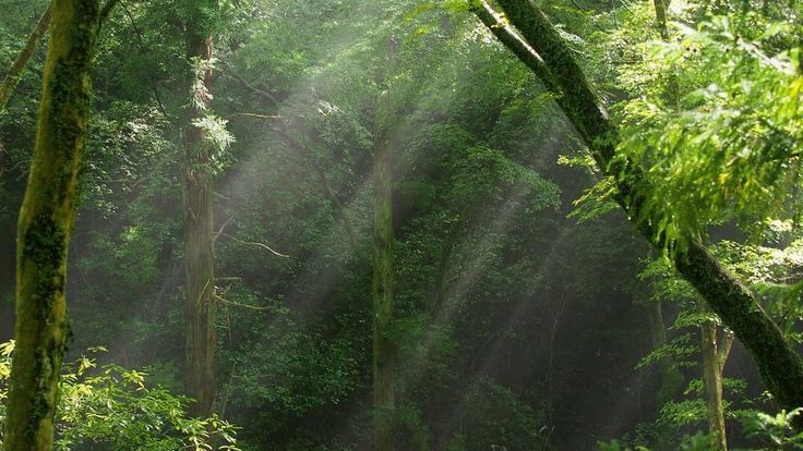 greenvibe's tweet photo. https://t.co/M15JqpCFzY