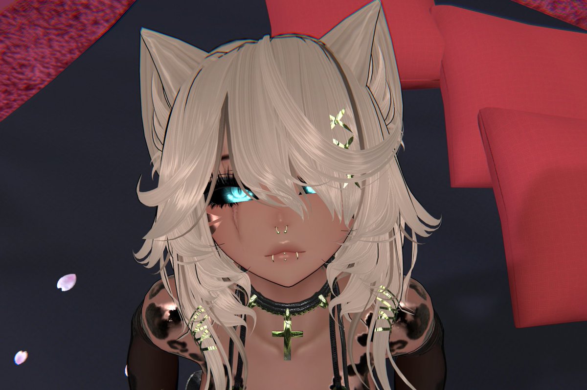 Hofi tweet media