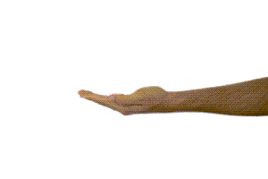 Ask The Headhunter tweet media