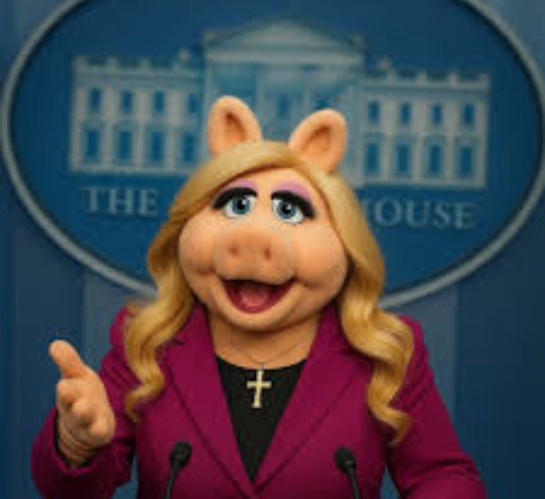 CorinnePhD's tweet image. Quiet Piggy.