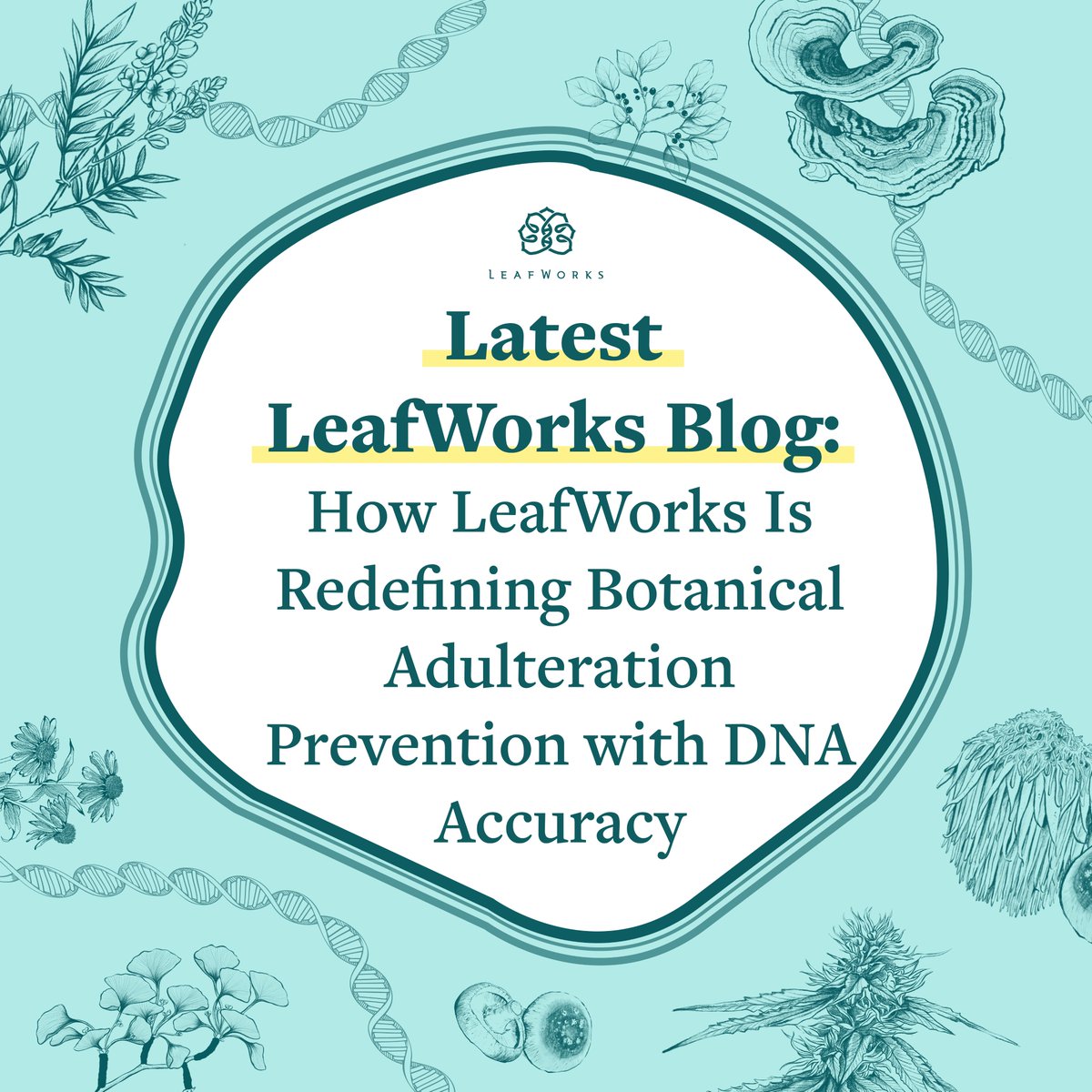 LeafWorks tweet media