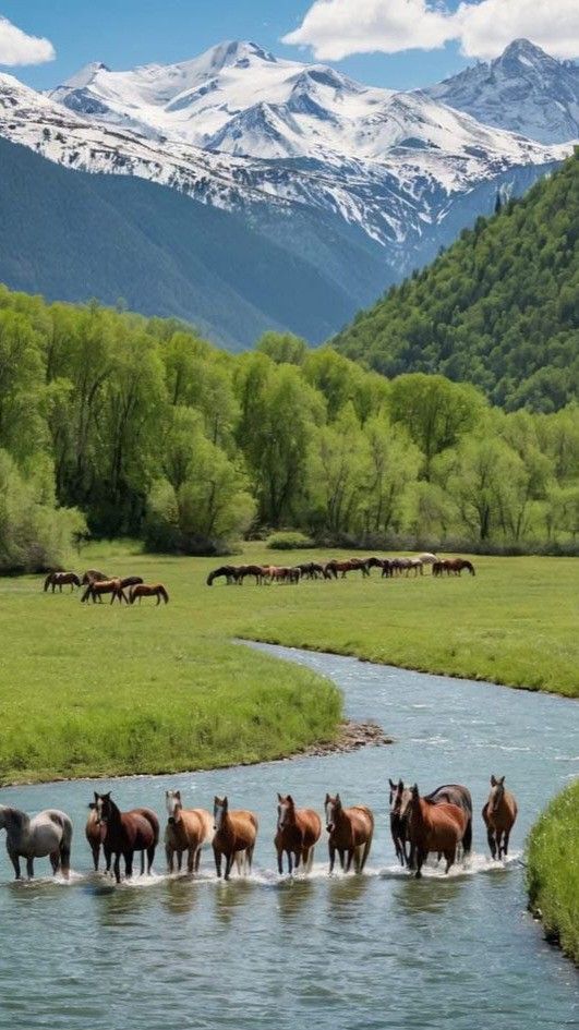 ᅠ ᅠ (@greendreaams) on Twitter photo 