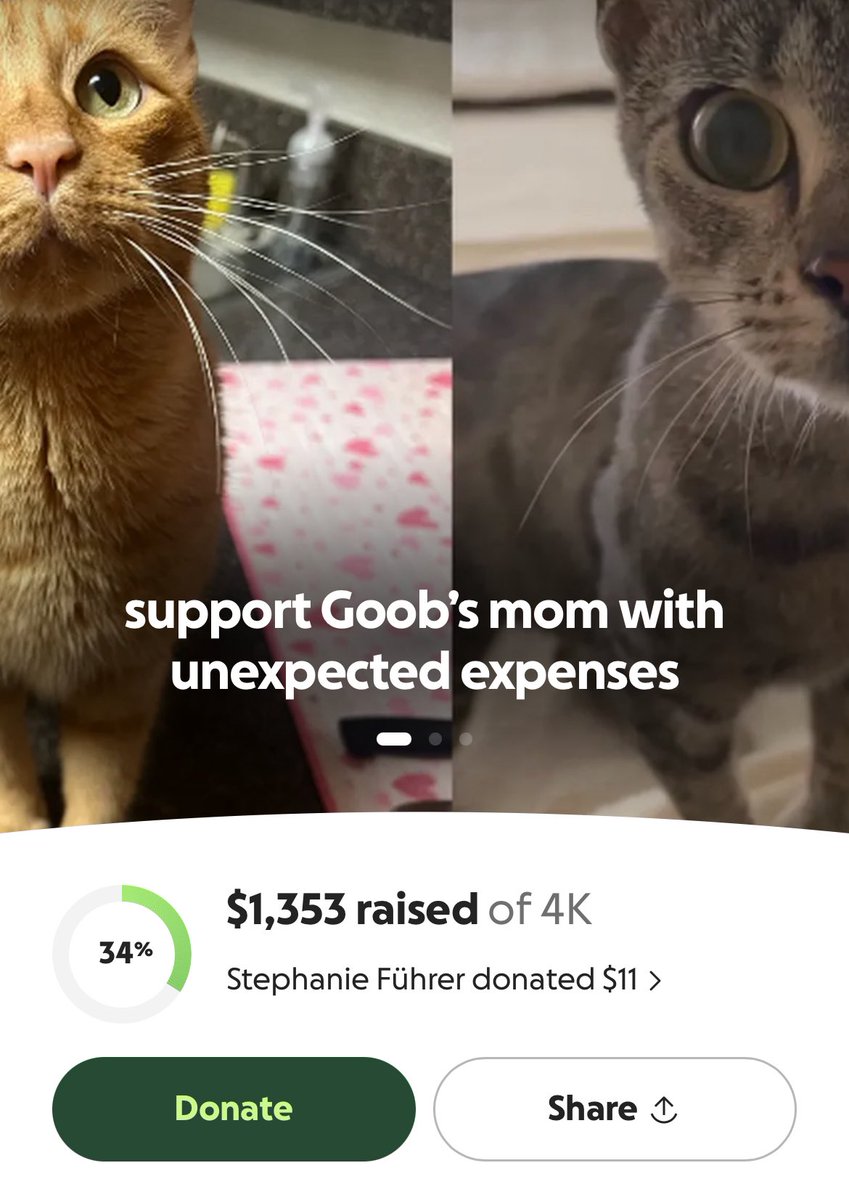 (hi friends, me again 🥲 i still owe $470 in vet bills &amp; need $2647 to reach my GFM goal. i would love to pay everything off by the end of the month &amp; have a fresh start for the new year, so please donate if you can. thank you so much, im so very thankful 🧡)