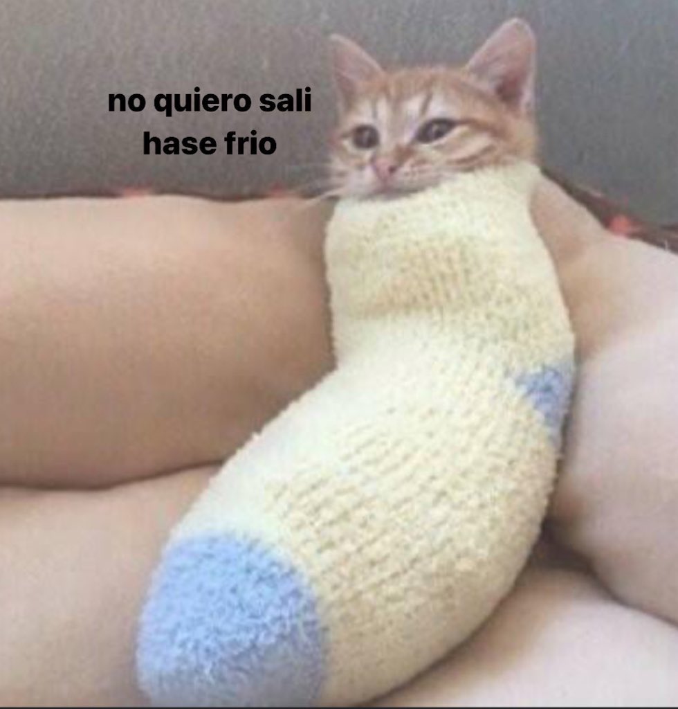 kansaita_'s tweet image. 