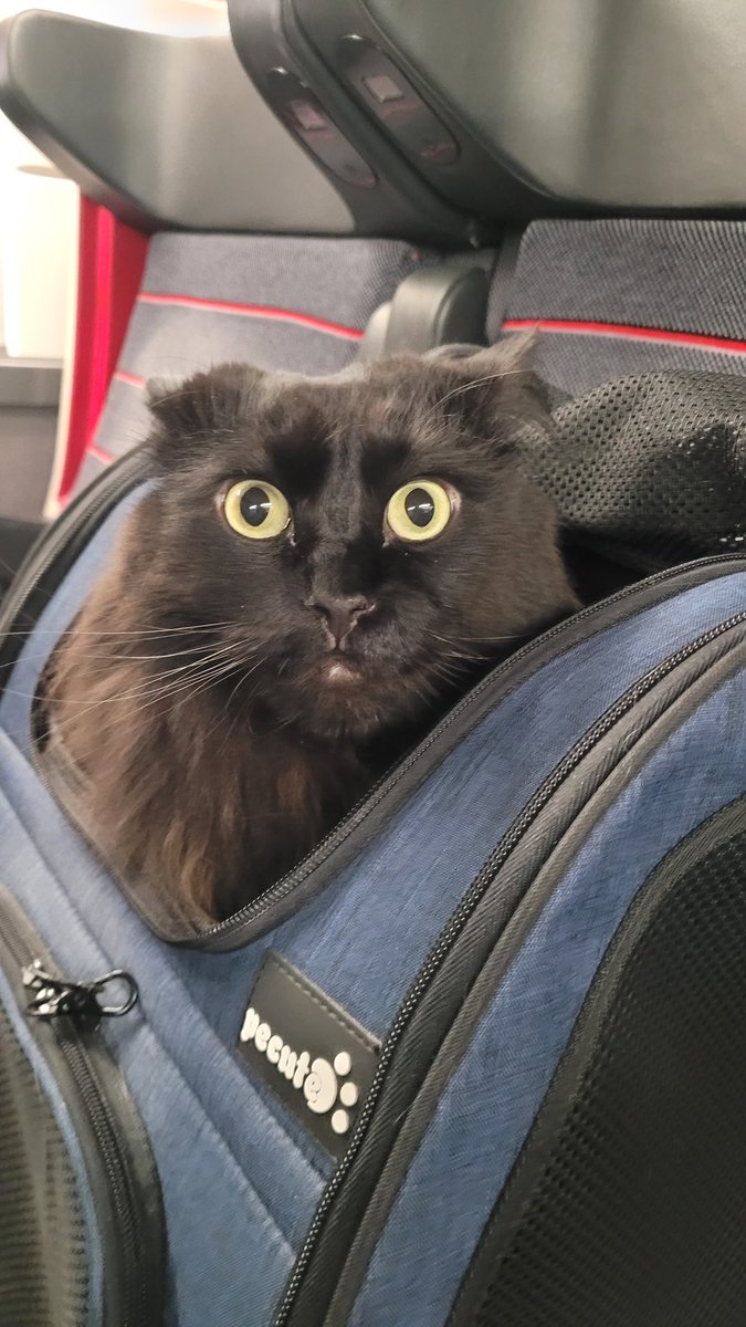 Je suis outré! J'étais tranquille pepouze et on me remet dans le sac