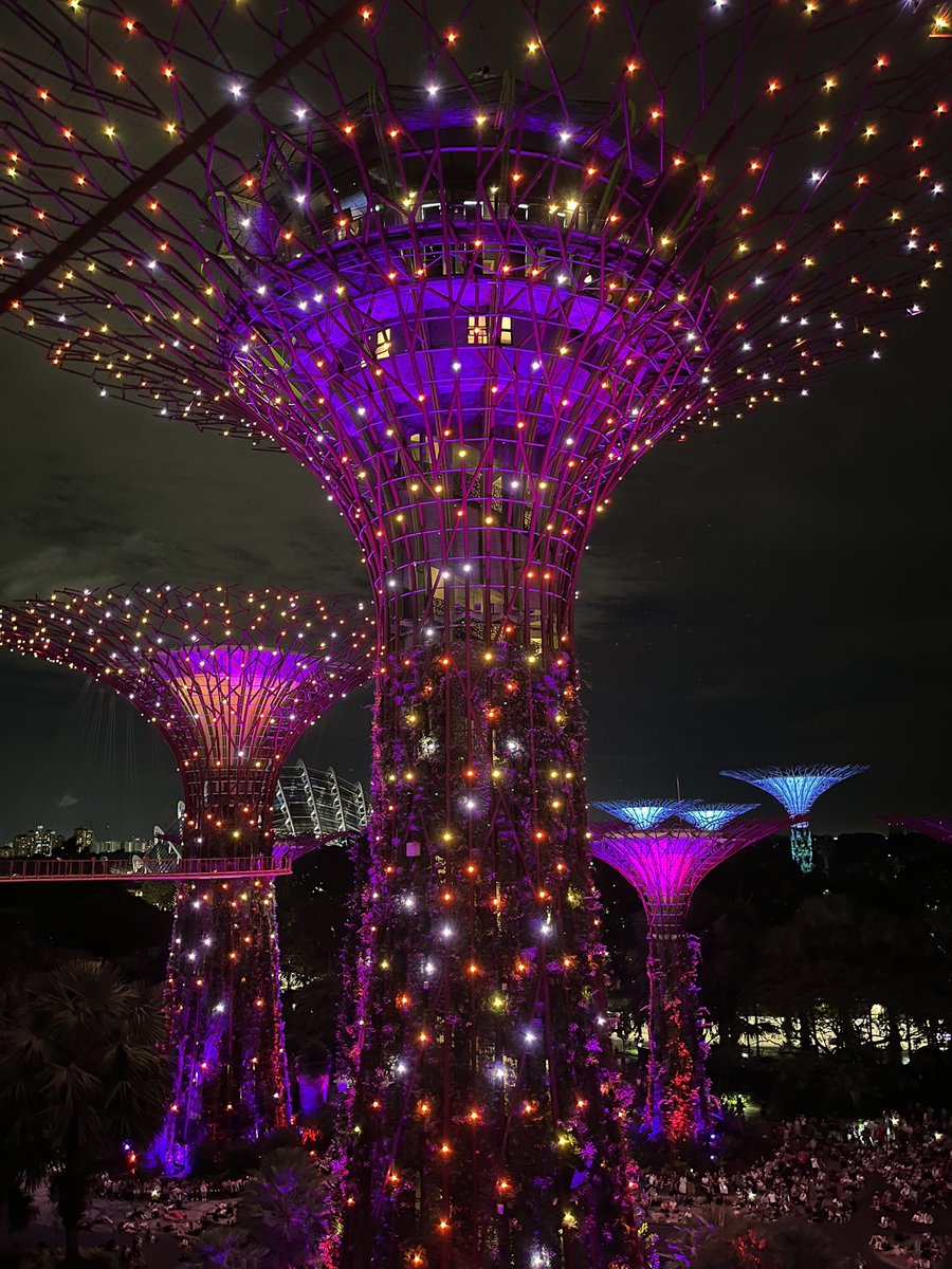 grayneale50's tweet image. Super Trees, Singapore
#ModernConstruction
#rowcase