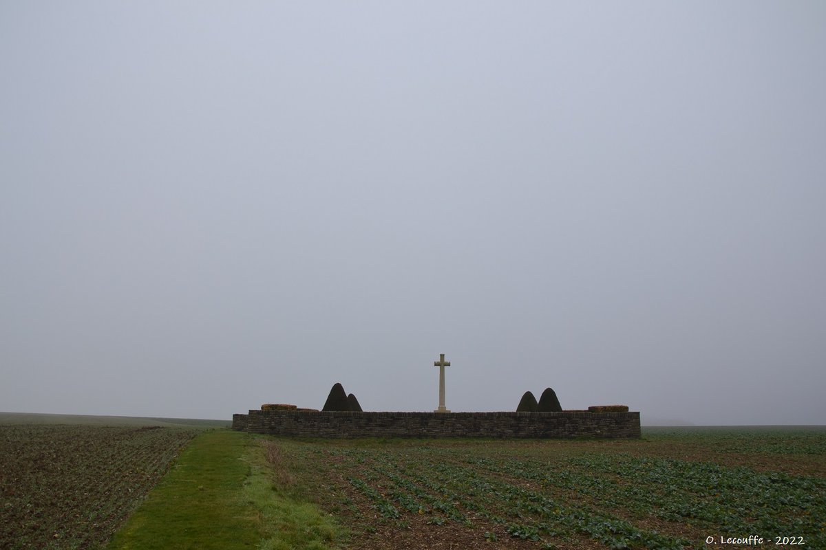 Olivier L. tweet media