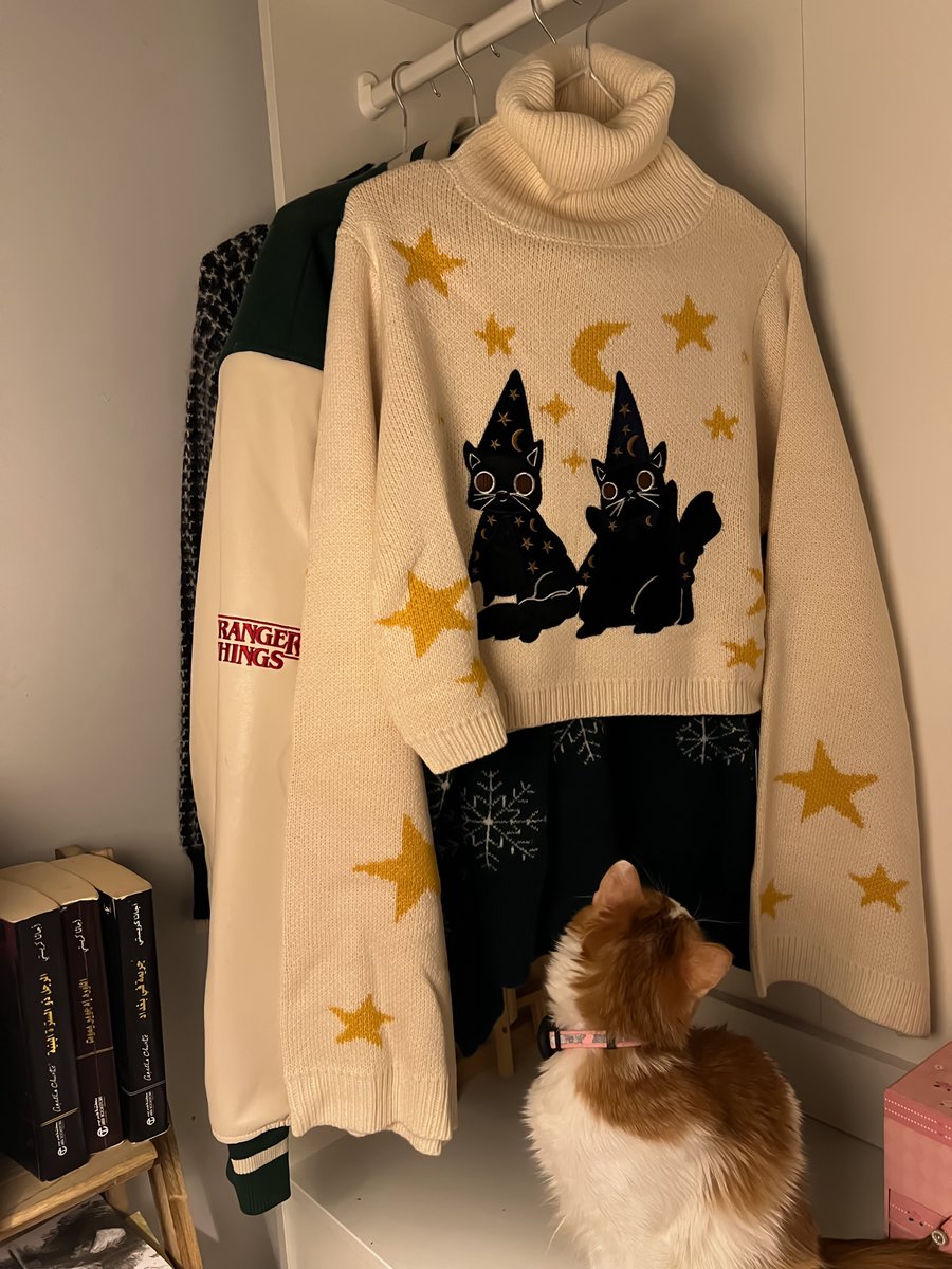 _bolayll's tweet image. winter sweater 🪄