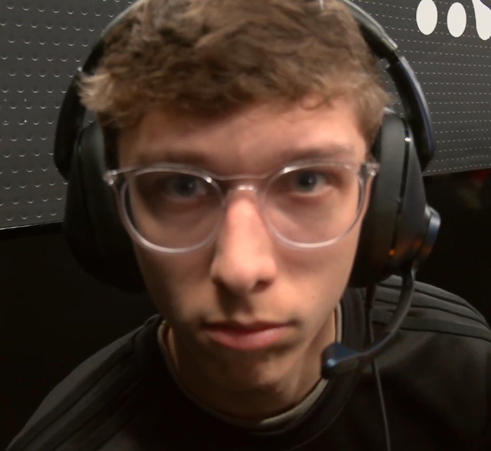 Owl tweet media