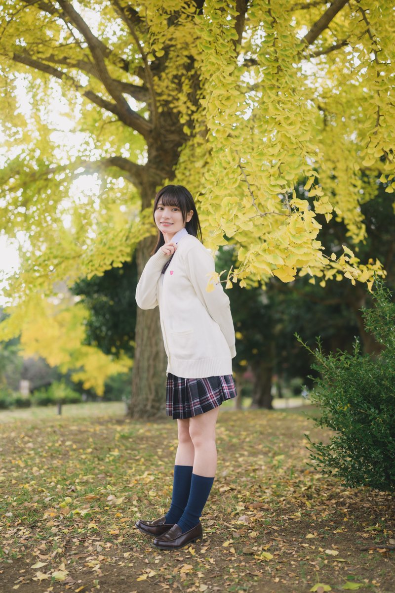 くわとろ (@quwaquwaww) / Posts / X