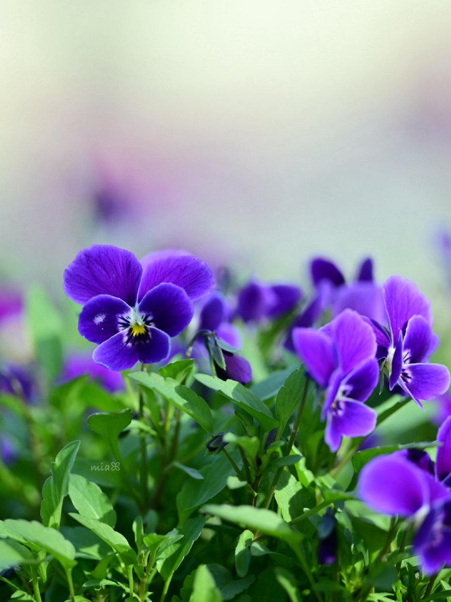 colors learning to breathe ♡