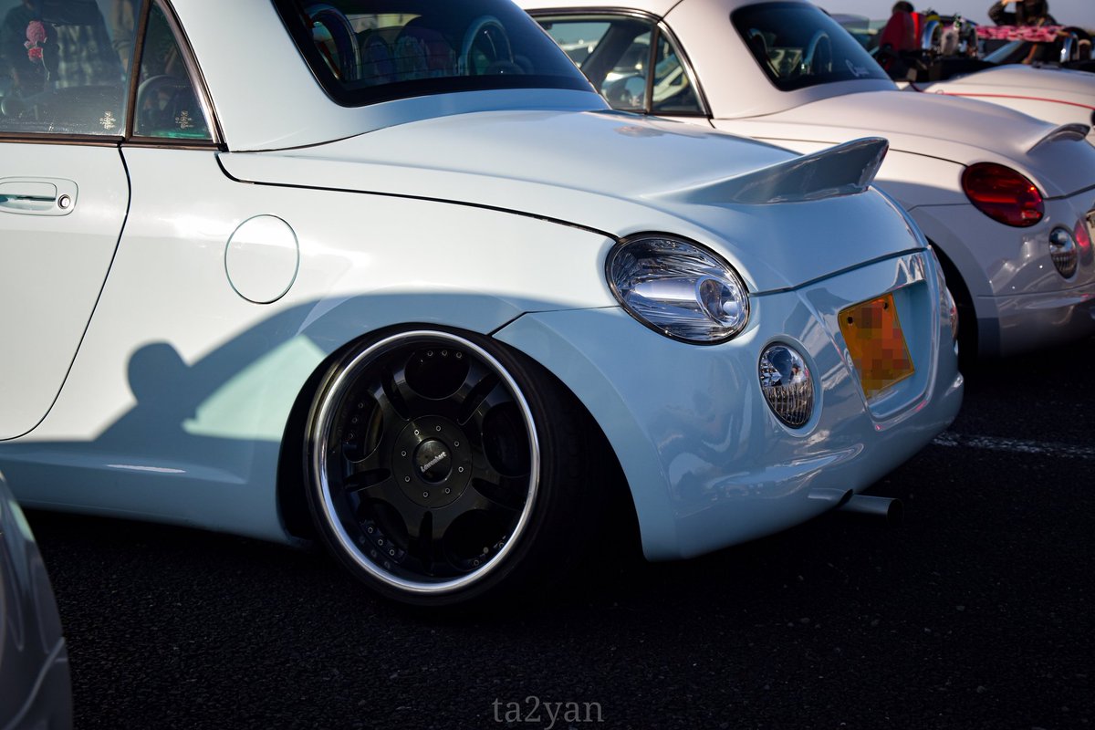 ねこしゅか ✋(΄⌒◞౪◟⌒｀) tweet media