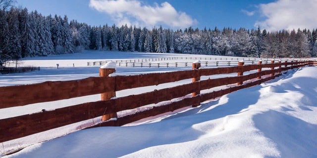 How would you order the following investments, with 1 being the MOST IMPORTANT to you? Find out how our audience responded to last month’s survey question. The November Pulse results are in! landthink.com/pulse-land-gun…